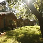 Jabłoń Pisz