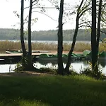 Jabłoń Pisz